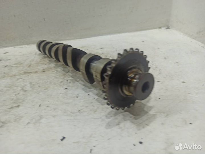 Распредвал впускной Ауди