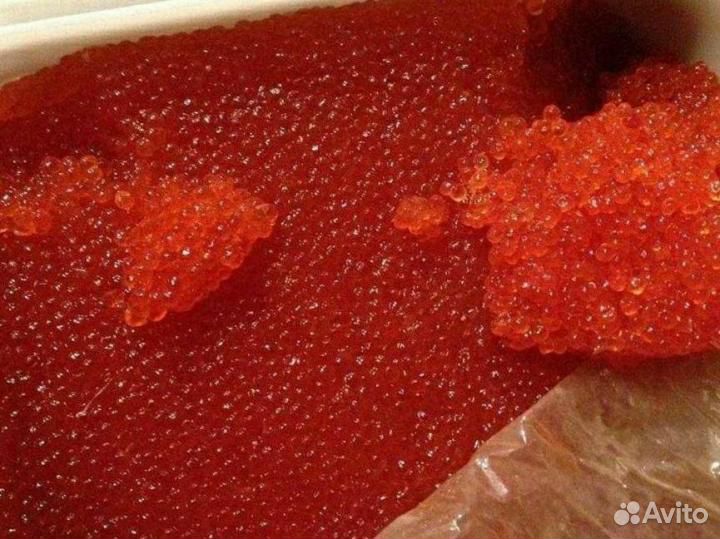 Красная икра