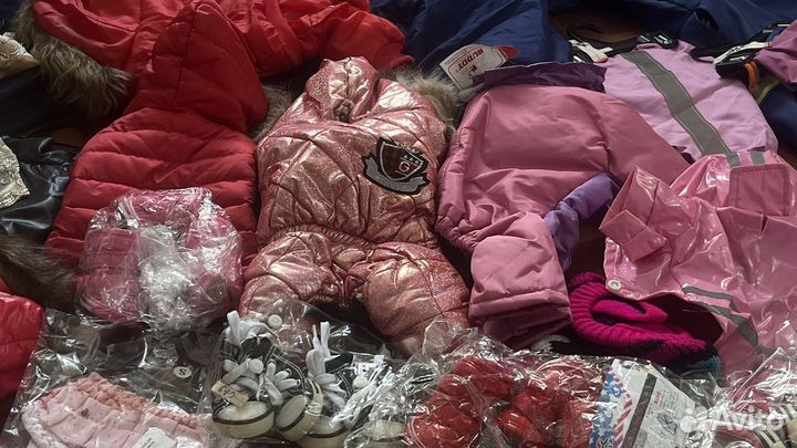 Одежда для собак