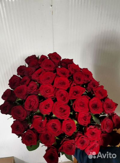 Розы, букет цветов