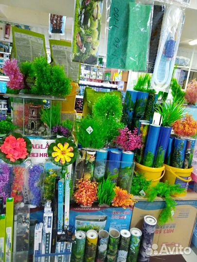 Продаются аквариумы и сопутствующий товар