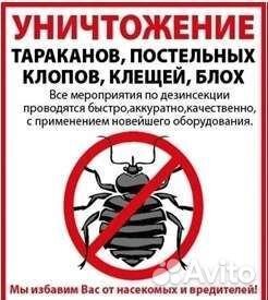 Уничтожение насекомых