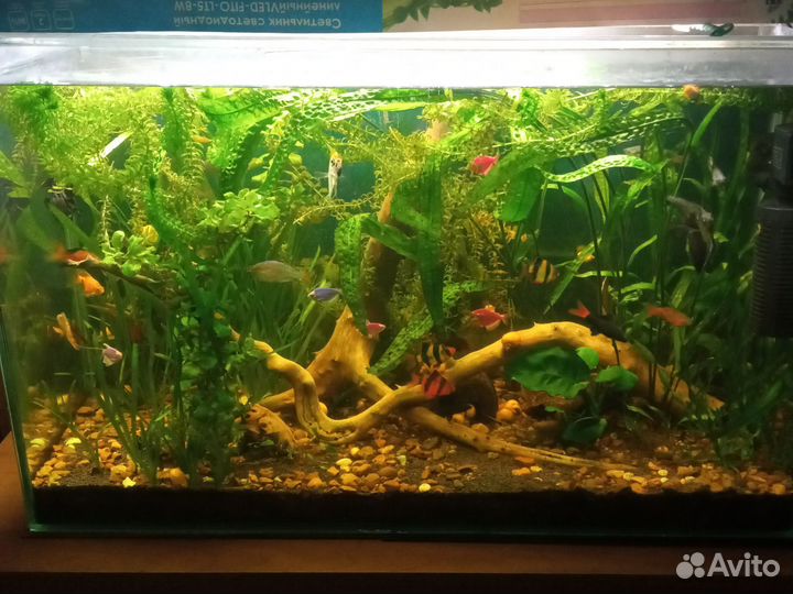 Украшение для аквариума