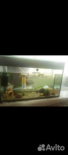 Аквариум 100 литров