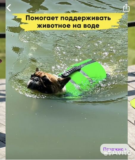 Жилет для животных спасательный