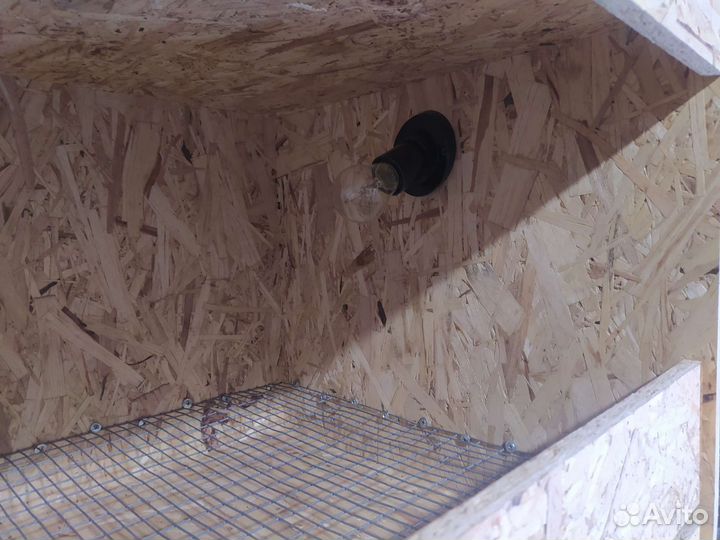 Брудер для цыплят