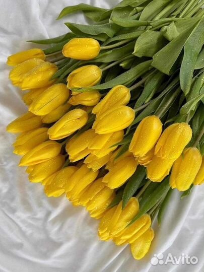 Тюльпаны к 8 марта