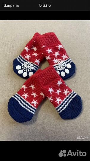 Одежда для собак мелких пород