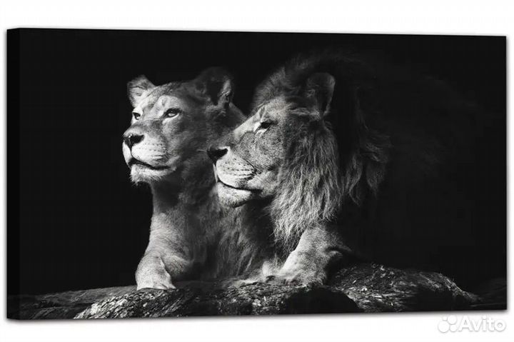 Новая Картина на холсте лев и львица в чб