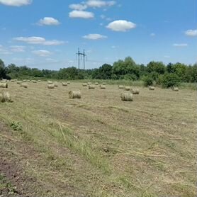 Продам сено в рулонах