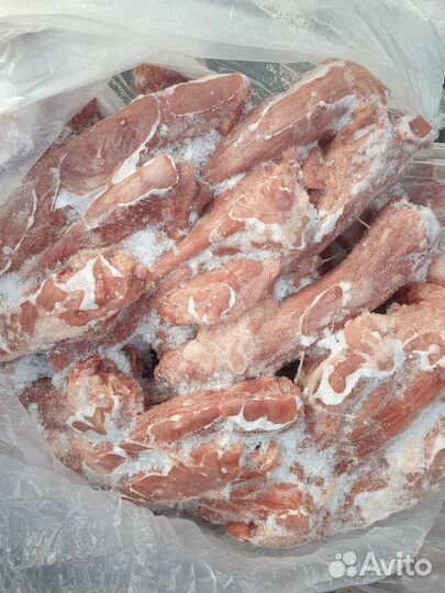 Корм для собак