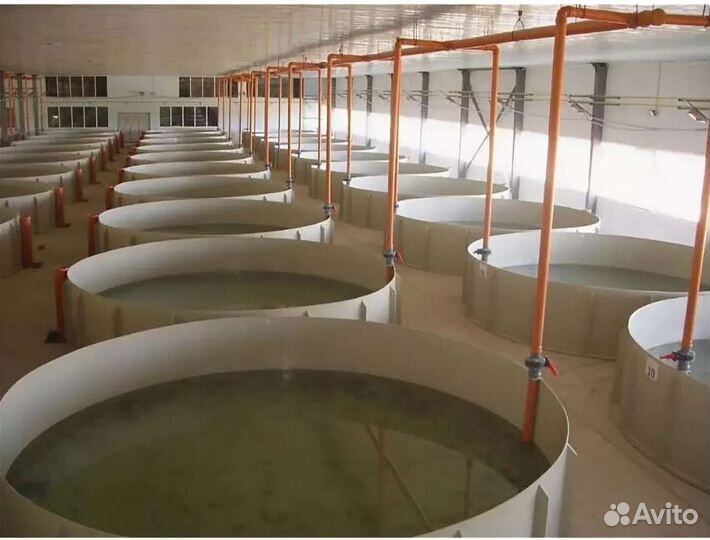 Высоко доходный бизнес под ключ рыбная ферма узв в