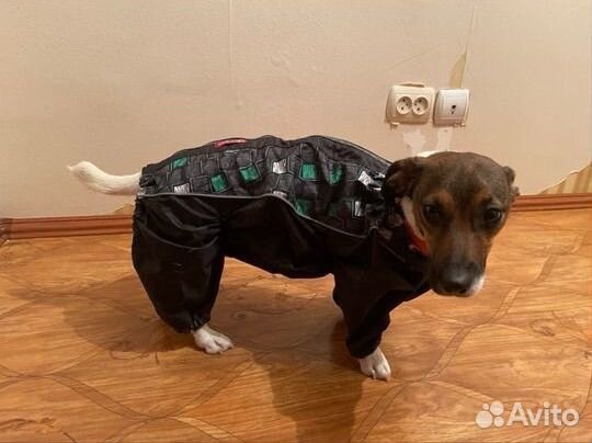 Одежда для маленьких собак