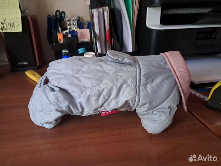 Комбинезон для маленькой собаки девочки