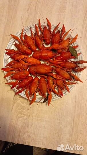 Раки опт и розница