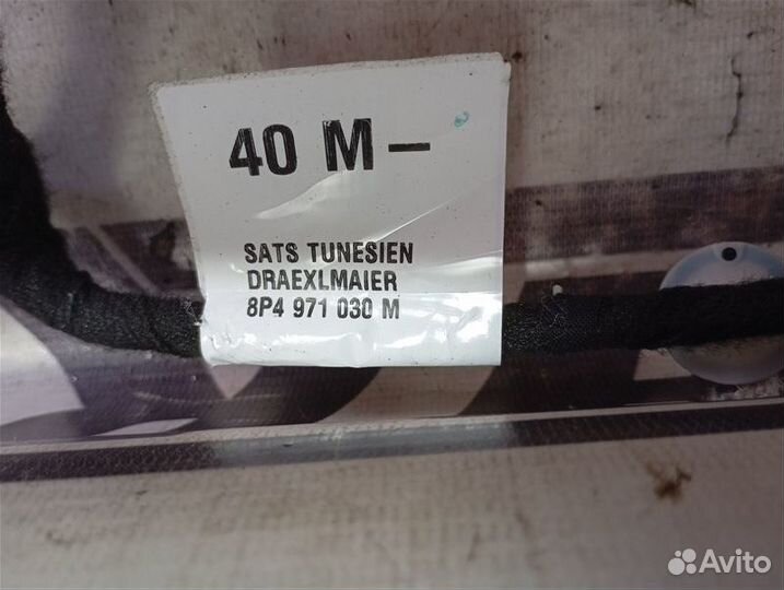 Проводка двери передняя правая Audi A3 8P 1.8 CDA