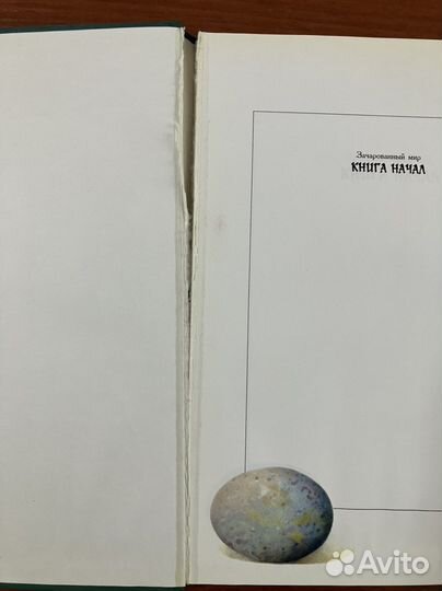 Серия книг «Зачарованный мир»