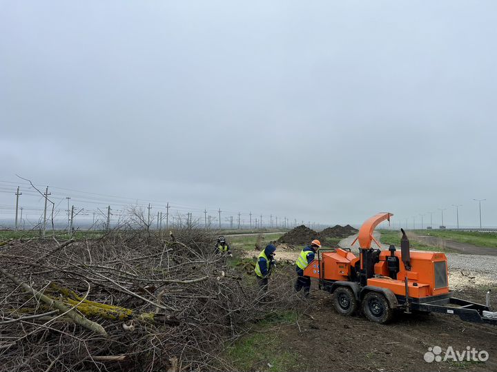 Измельчитель Веток, Дробилка в аренду