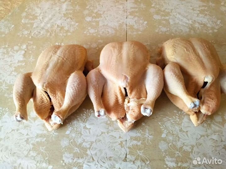 Мясо домашнего бройлера