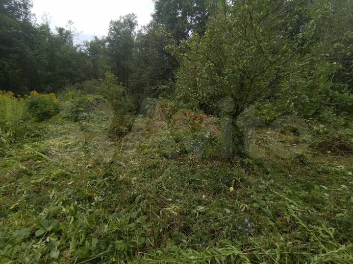 Участок 7 сот. (СНТ, ДНП)