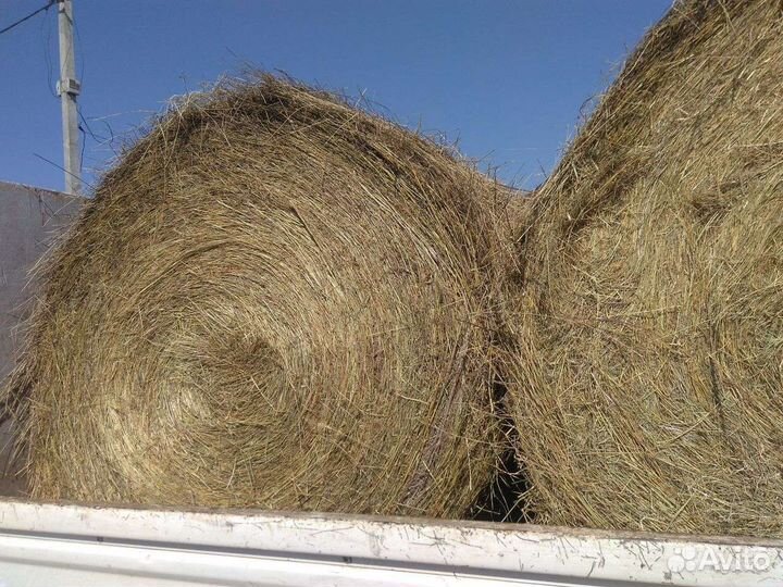 Сено в рулонах для животных