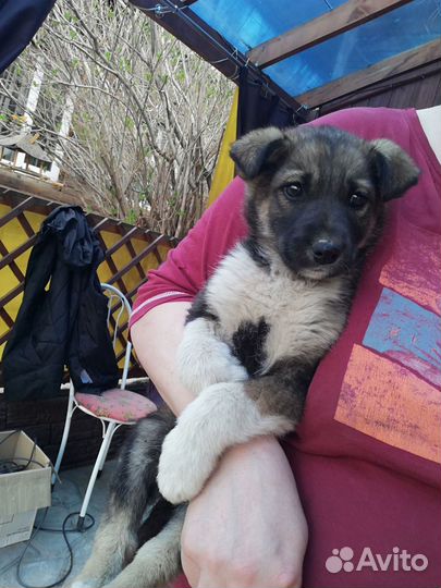 Мальчик в добрые ручки