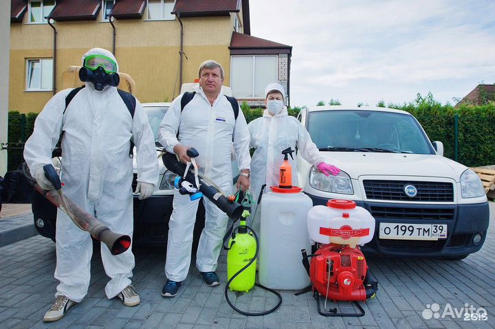 Услуги Дезинсектора Дезинсекция Дезинфекция