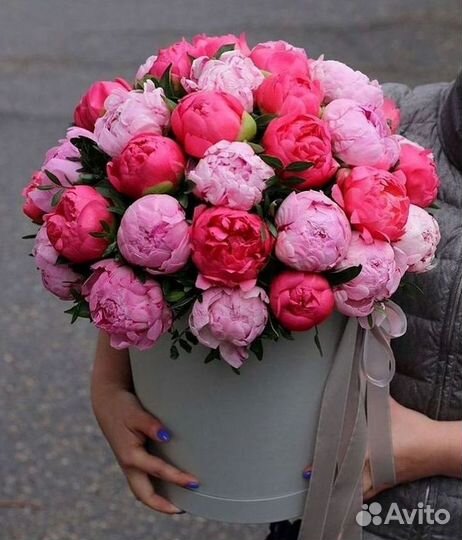 Пионы Букет пионов