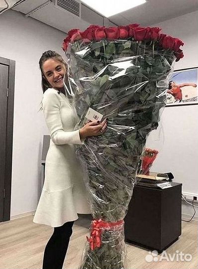 Высокие розы Гигантские Розы 150 160 170 180 190см