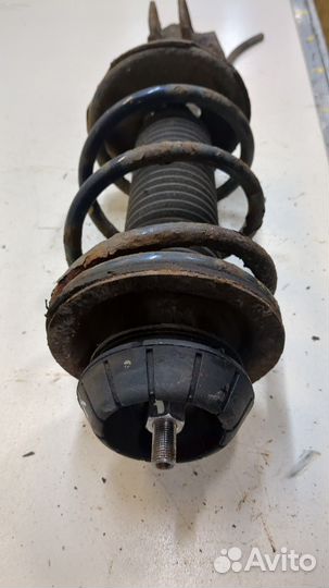 Амортизатор подвески Suzuki Alto 2009, 2009