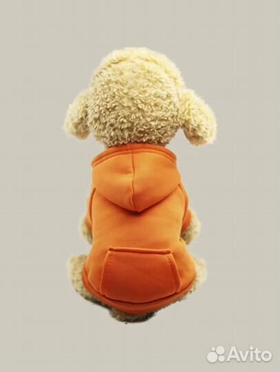 Кофта для животных