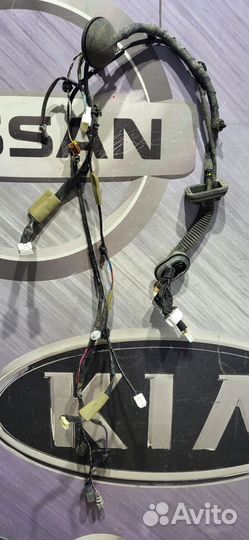 Проводка двери коса Nissan teana J32 Прав