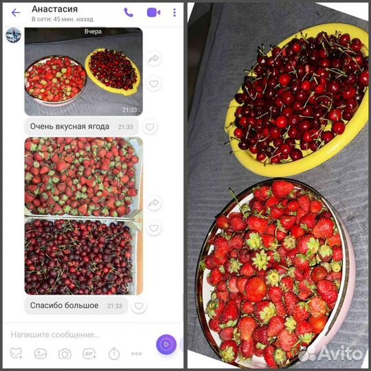 Клубника свежая