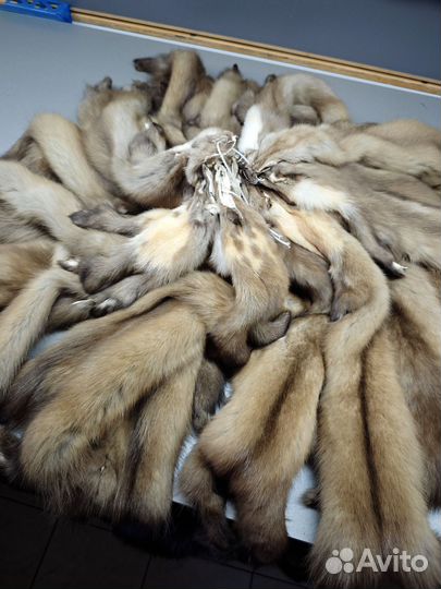 Куница шкуры