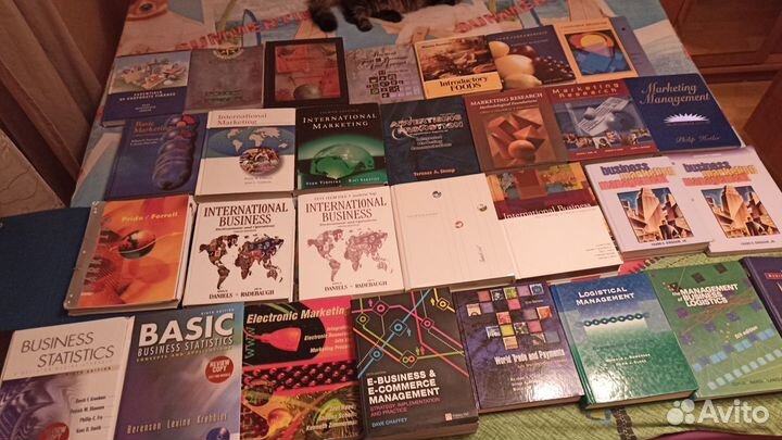 Учебники по управлению, эконом, IT, туризм на англ