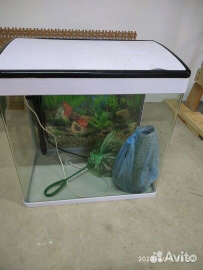 Аквариум