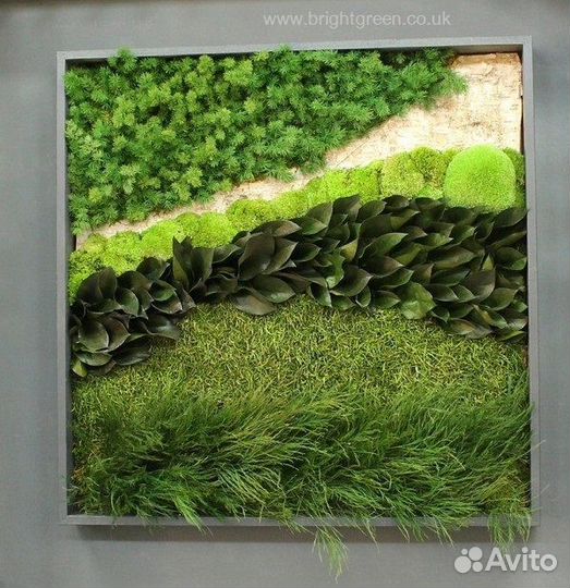 Картина из мха без подсветки