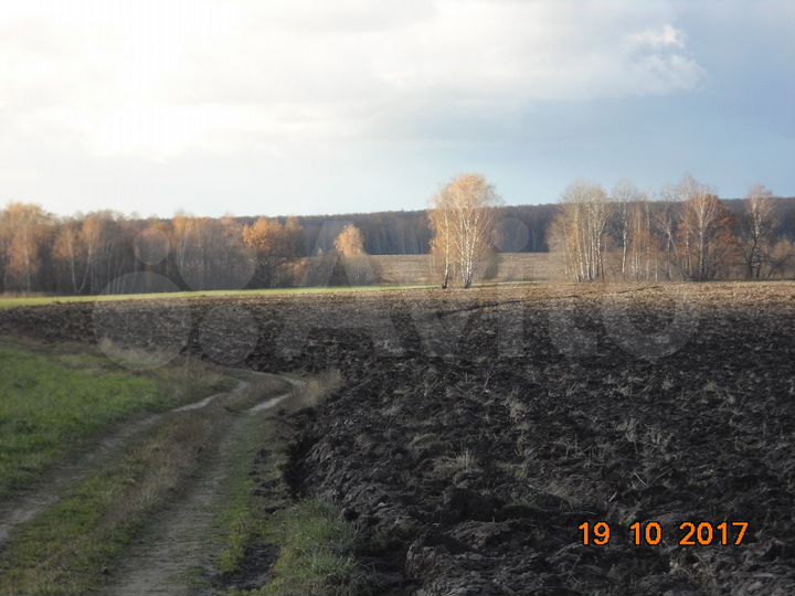 Участок 82 га (СНТ, ДНП)