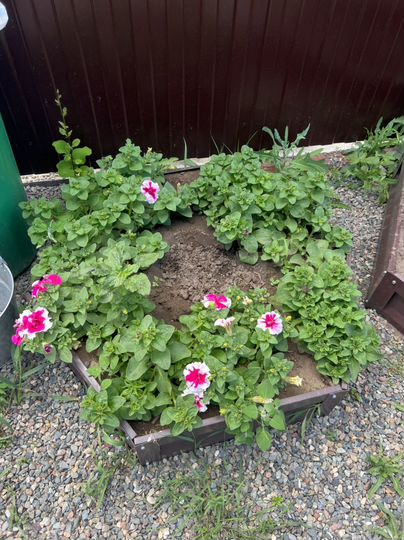 Дача 18 м² на участке 6 сот.