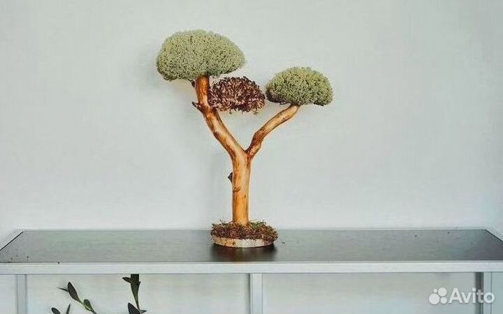 Подарок коллегам