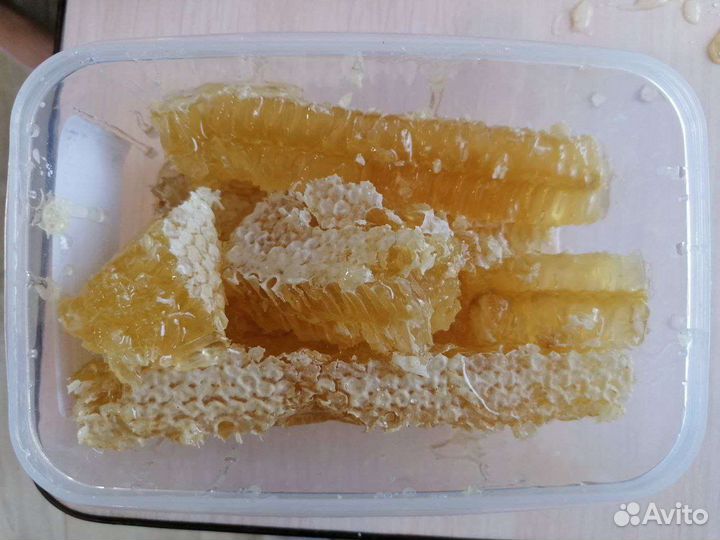 Продаю мед своя пасека в лесу