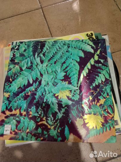 Виниловые грампластинки СССР