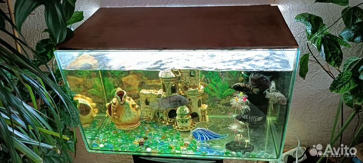 Аквариум