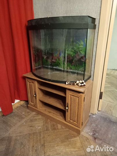 Панорамный аквараум и тумба