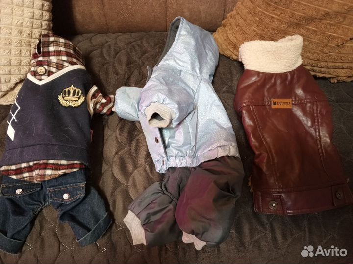 Вещи на собачку