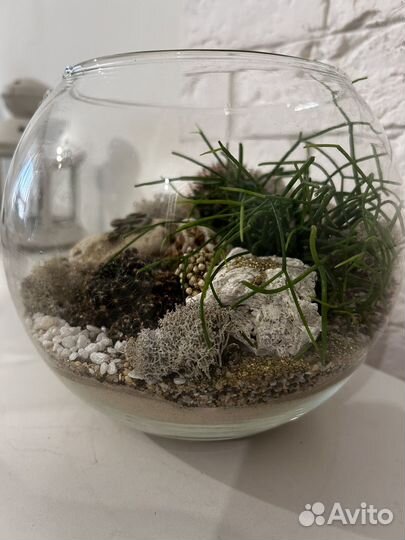 Флорариум, подарок