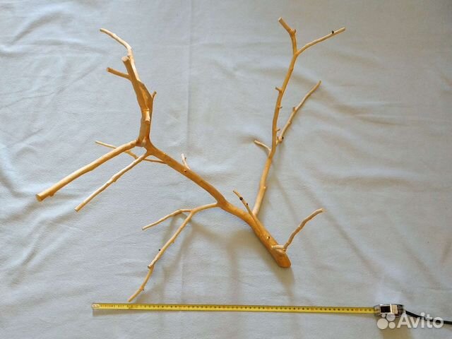 Коряги для террариума (ветки яблони)