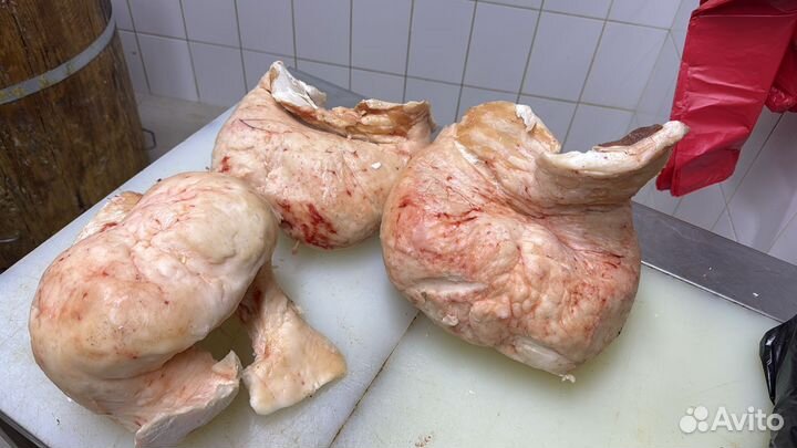 Продам курдюк барана