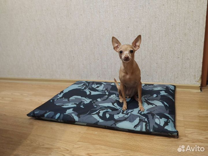 Лежанка для собак антивандальная