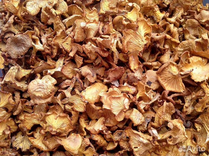 Грибы белые сушеные опт